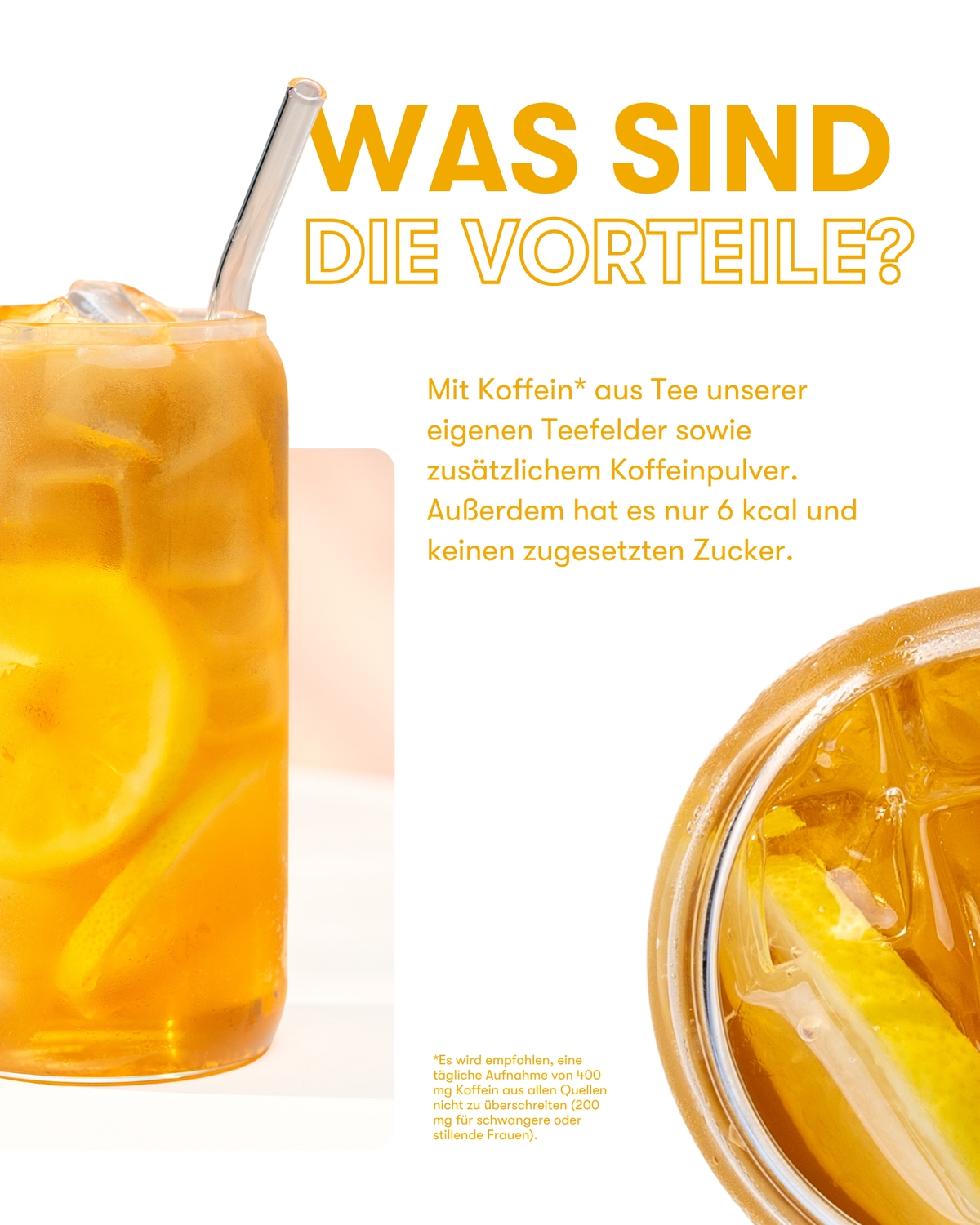 Herbalife Instant-Kräutergetränk mit Tee-Extrakten Mango (ref: 330K)